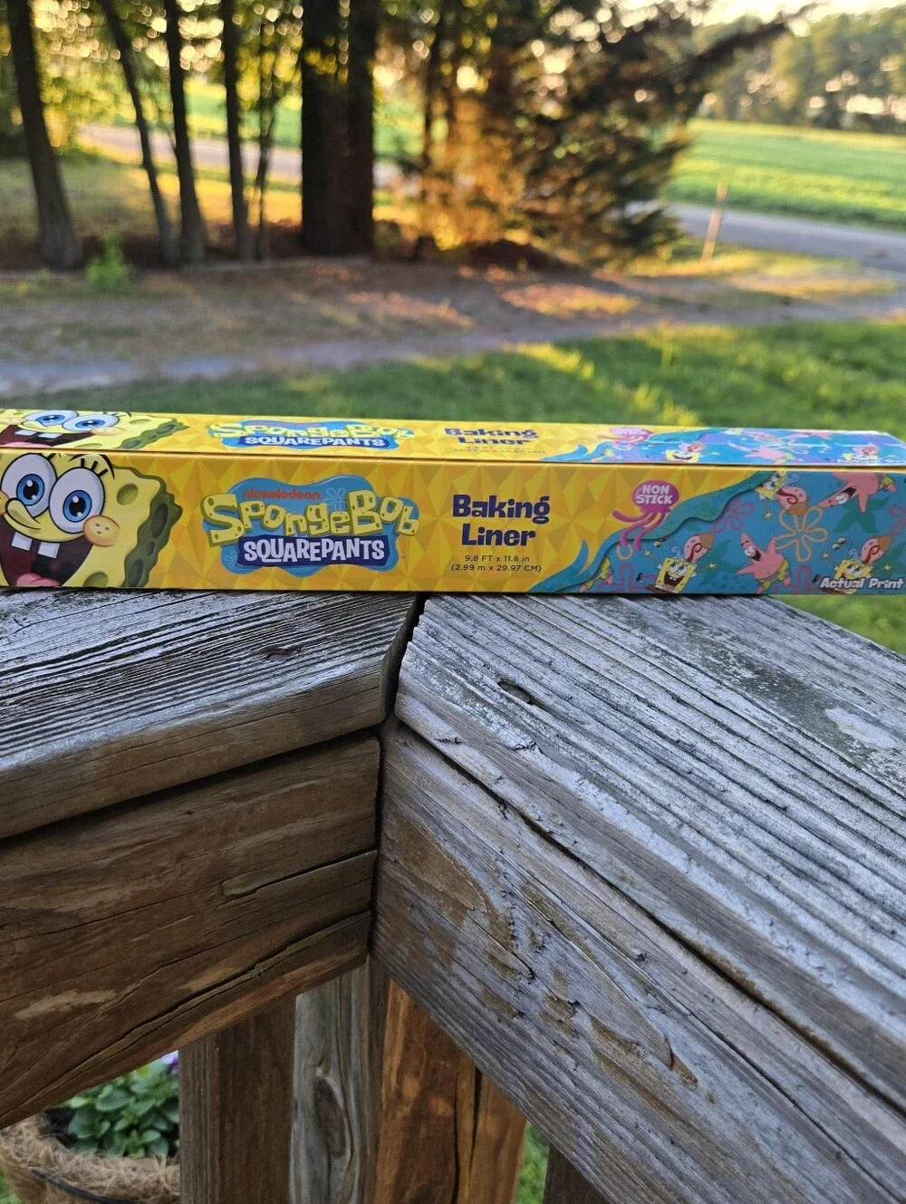 Nickelodeon SpongeBob SquarePants Baking Liner - Yellow, Blue